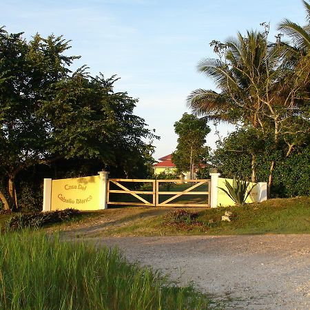 Casa Del Caballo Blanco San Ignacio Exteriér fotografie