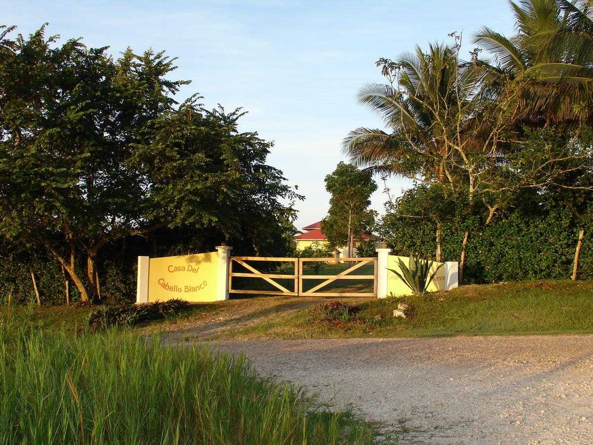 Casa Del Caballo Blanco San Ignacio Exteriér fotografie