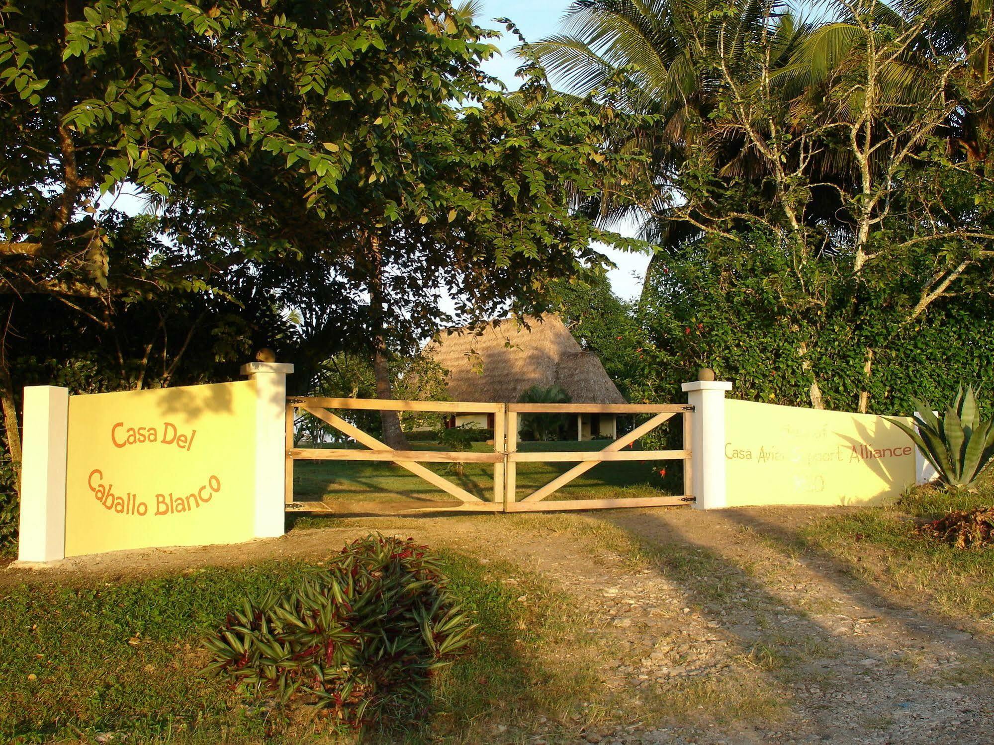 Casa Del Caballo Blanco San Ignacio Exteriér fotografie